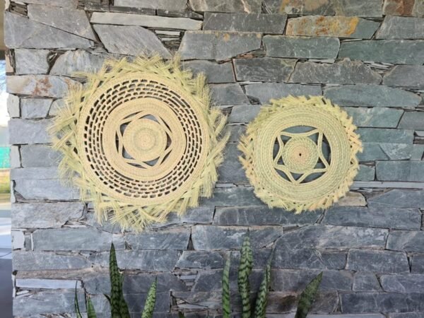 SOL DE PALMA - Imagen 3