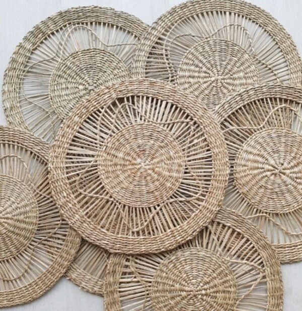 PLATO SITIO - seagrass